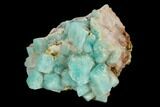 Amazonite Crystal Cluster - Colorado #129661-1